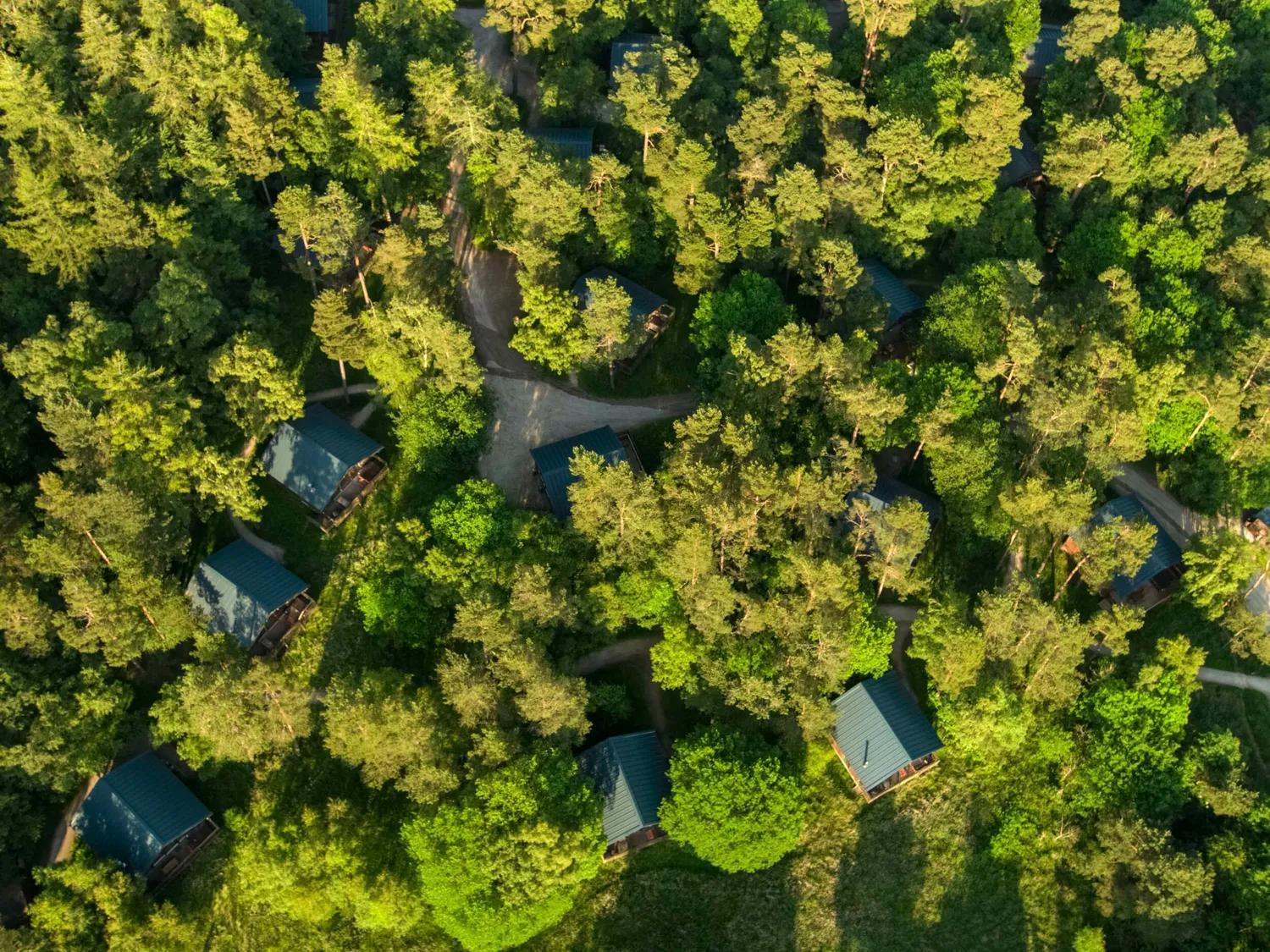 פיקרינג Keldy Forest Cabins - Forest Holidays מראה חיצוני תמונה